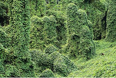 《新世界》上市一周年分享统计数据 游戏总时长超5亿