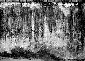 训练就能摆脱轮椅？玩家不满《哥谭骑士》蝙蝠女设定