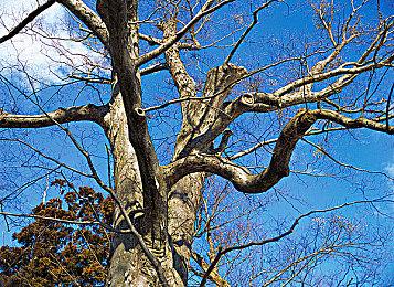 《暗黑破坏神2：重制版》PTR服新特性将公布：非常重磅